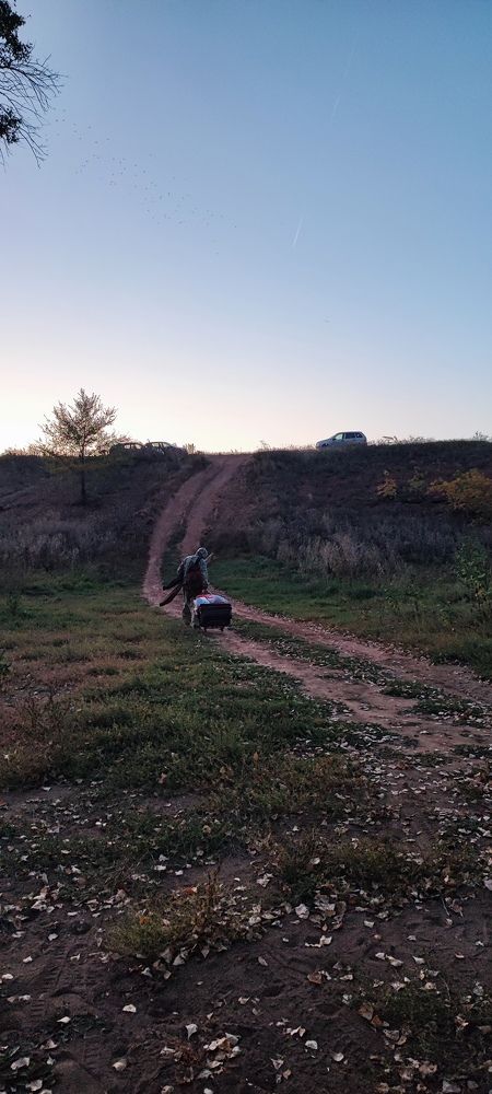 Photograph by Елена Новикова