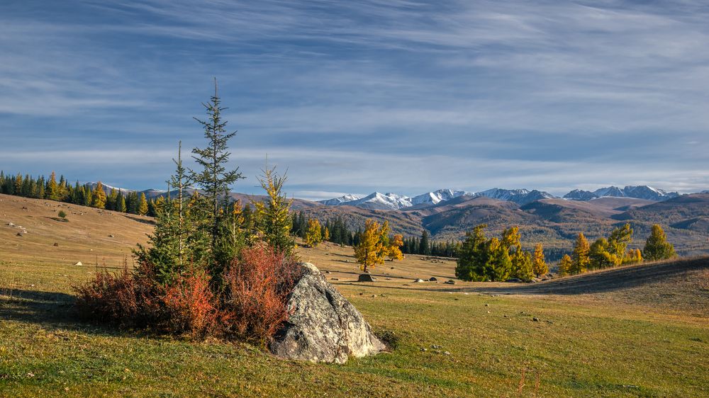 Photograph by Mark Devender