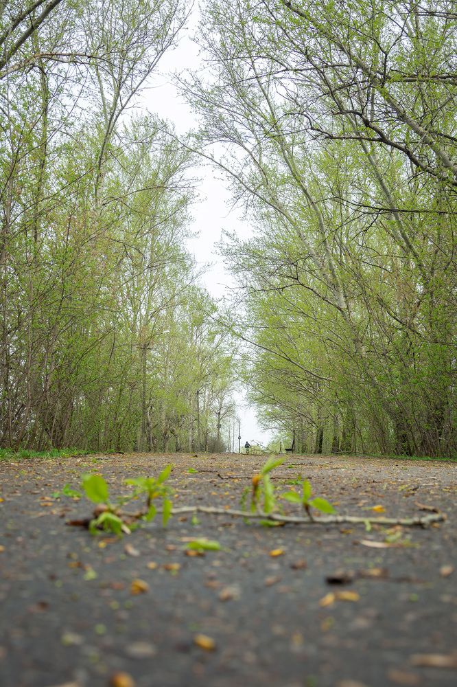 Photograph by Людмила Калинина