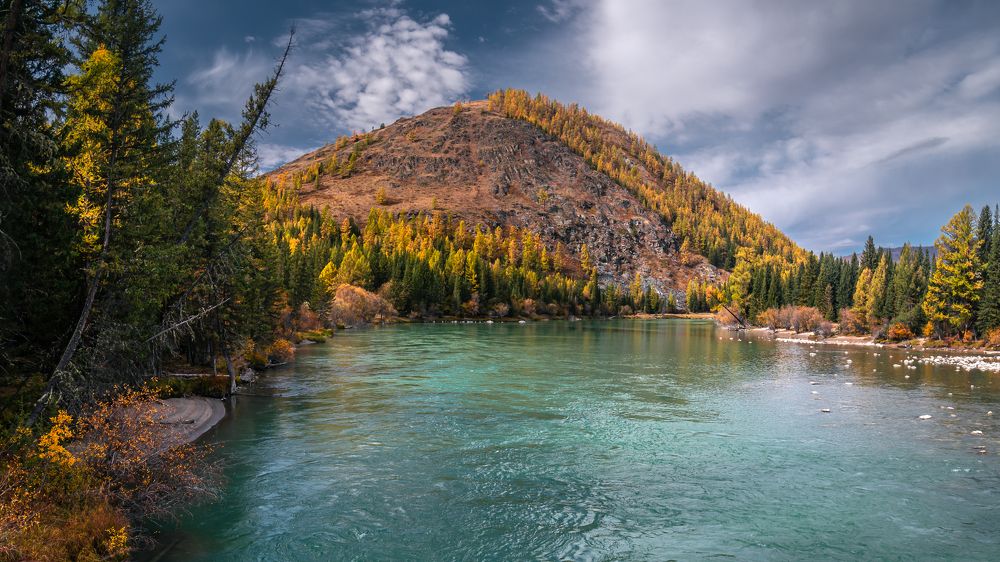 Photograph by Mark Devender