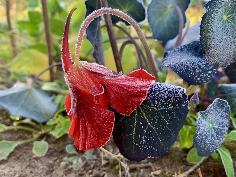 Photograph by Ионова Татьяна