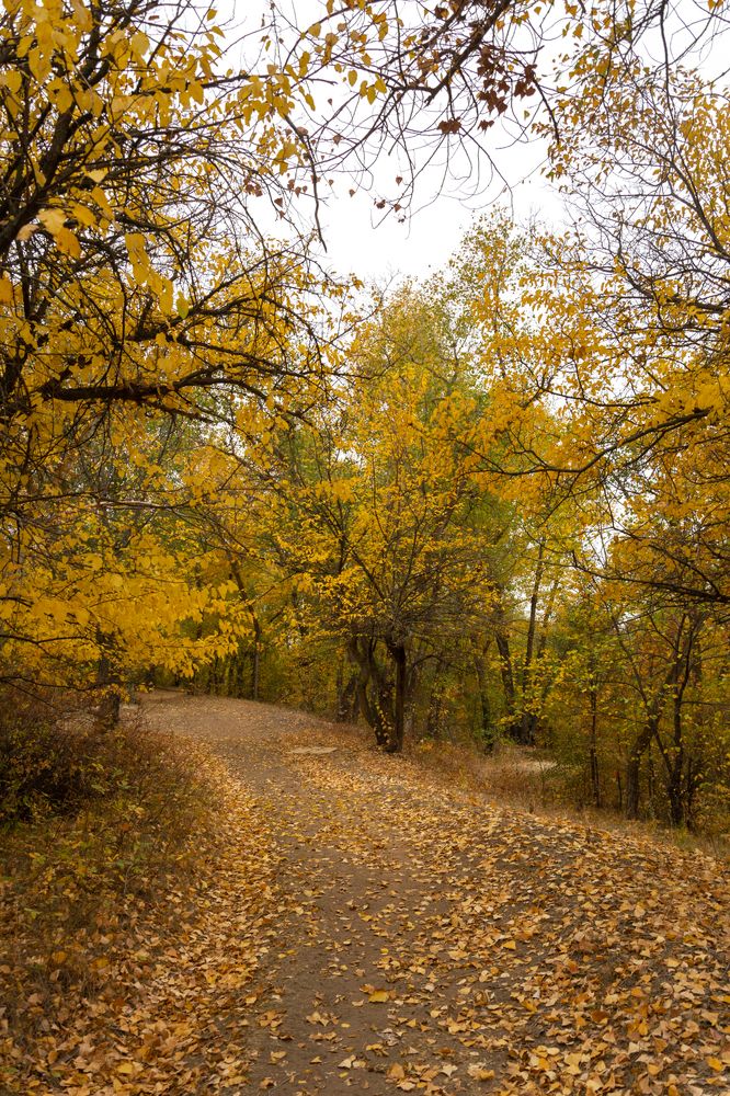 Photograph by Ольга Салтыкова