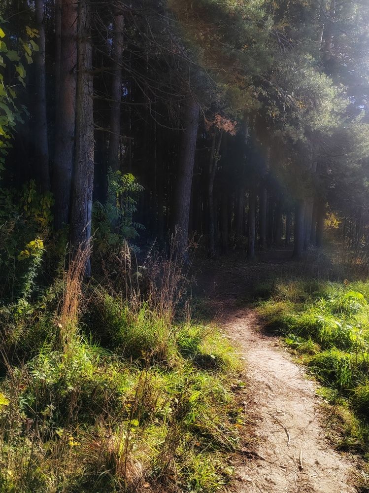 Фотография автора Татьяна Егорова