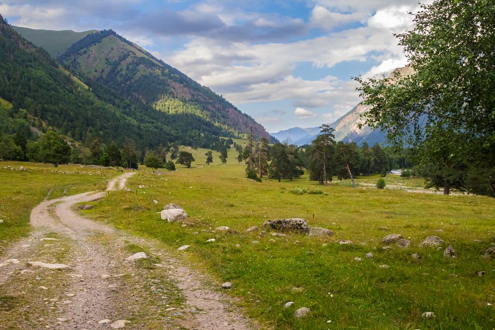 Photograph by Алексей