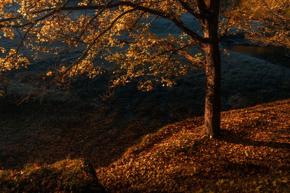 Фотография автора Oleg Suhenko
