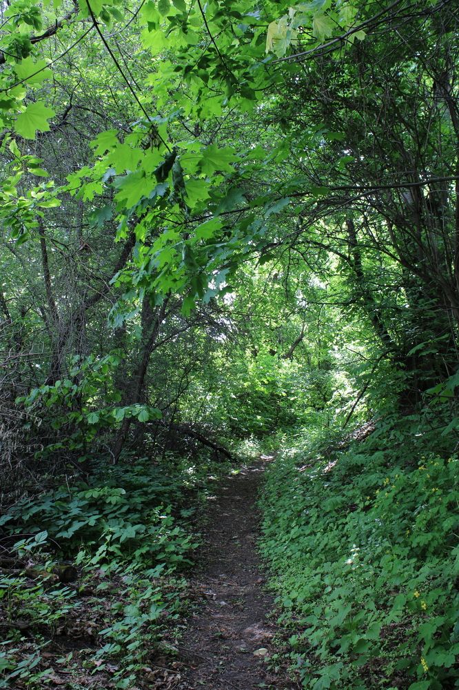 Photograph by Елена Коробченко