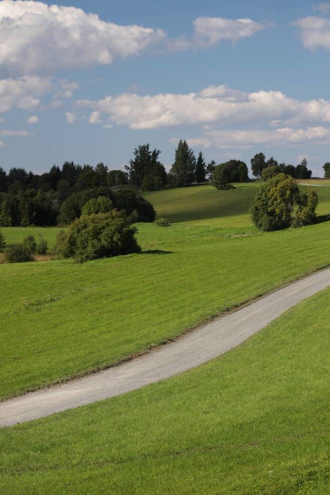 В чистом поле