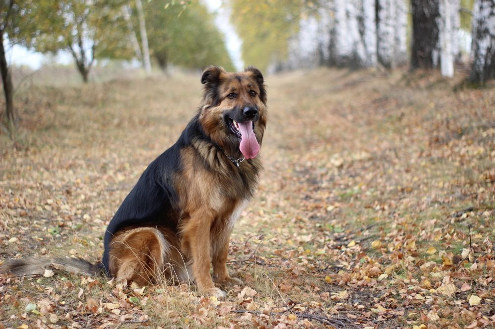 Photograph by Наталья Рыкова