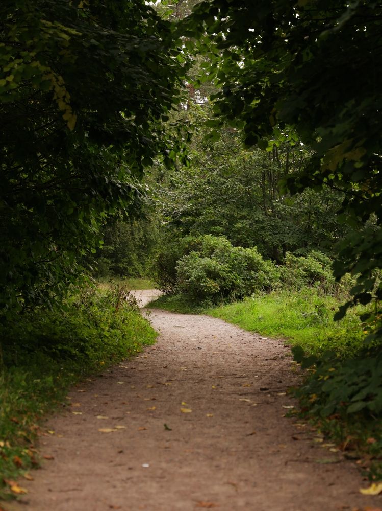 Дыхание осени