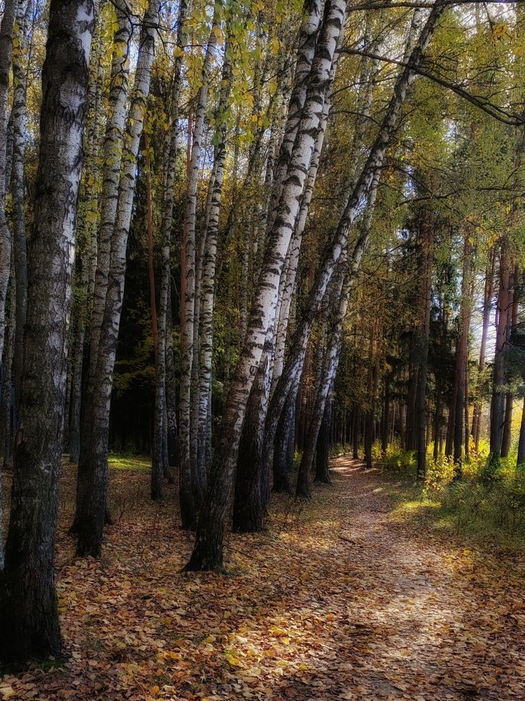 Фотография автора Татьяна Егорова