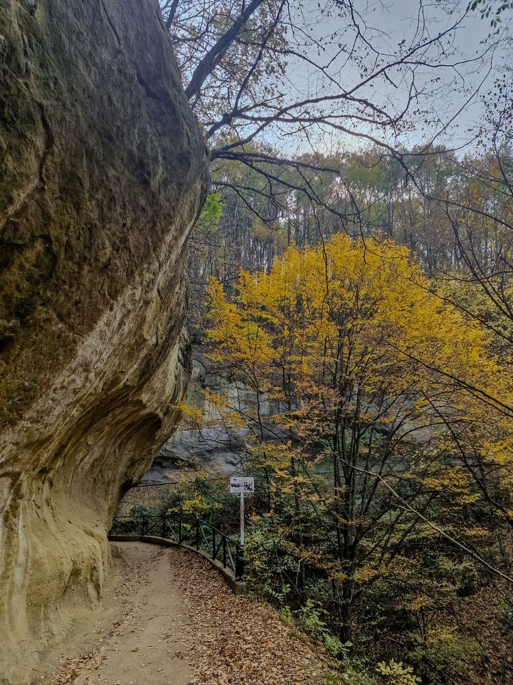 Photograph by Полина Галянина