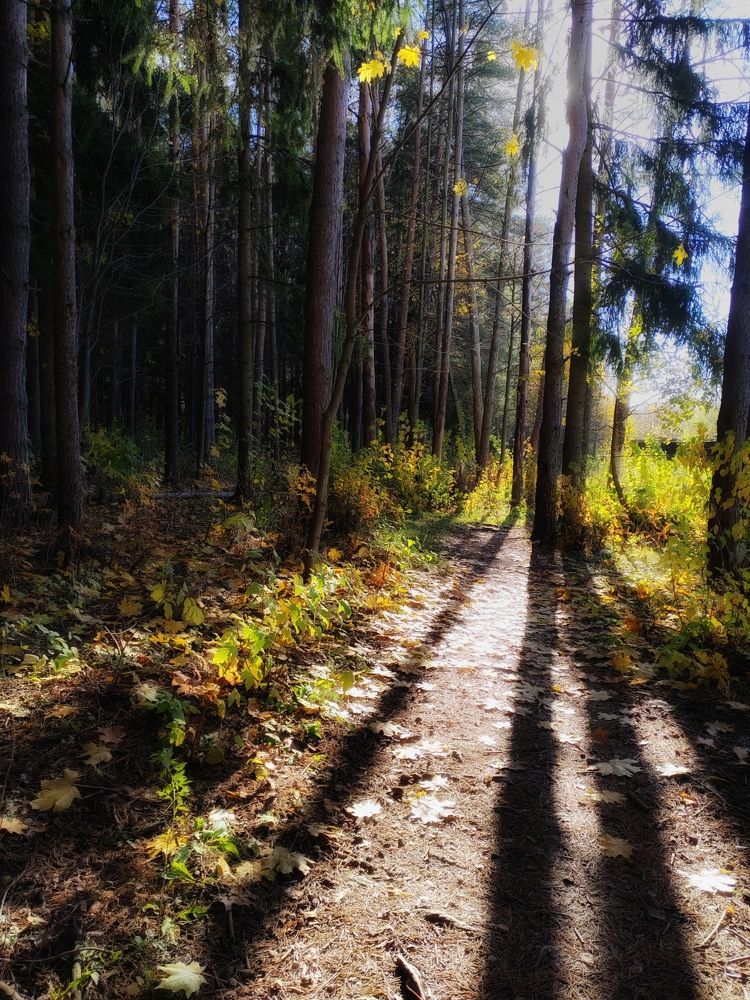 Фотография автора Татьяна Егорова