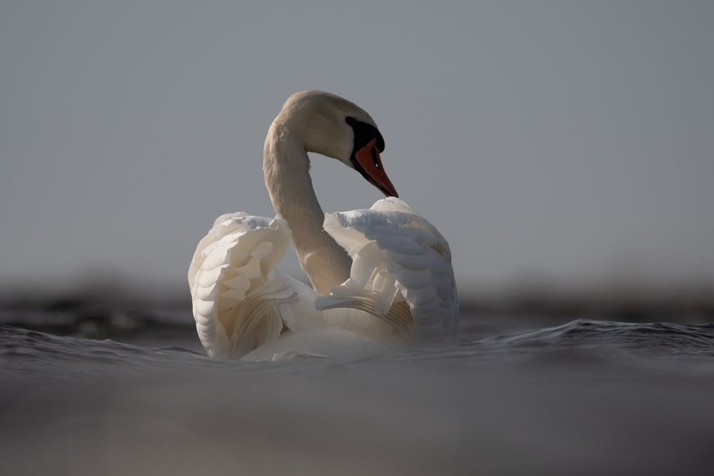 Photograph by Федорако Дмитрий