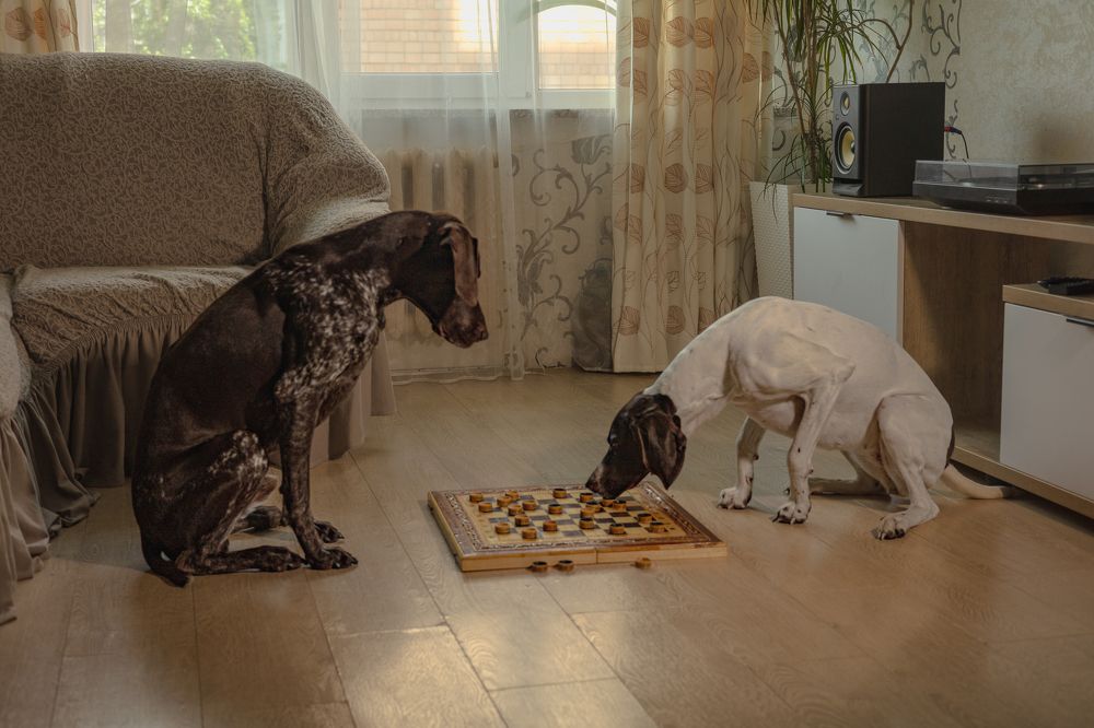 Photograph by Алексей Широбоков