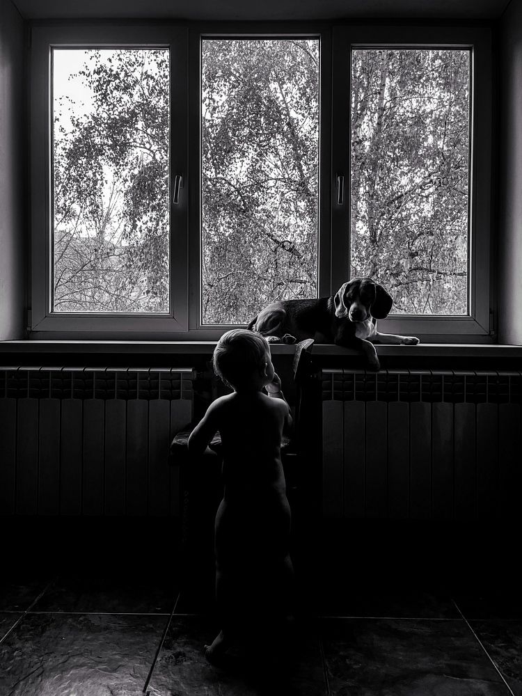 Photograph by Олена Уманцева