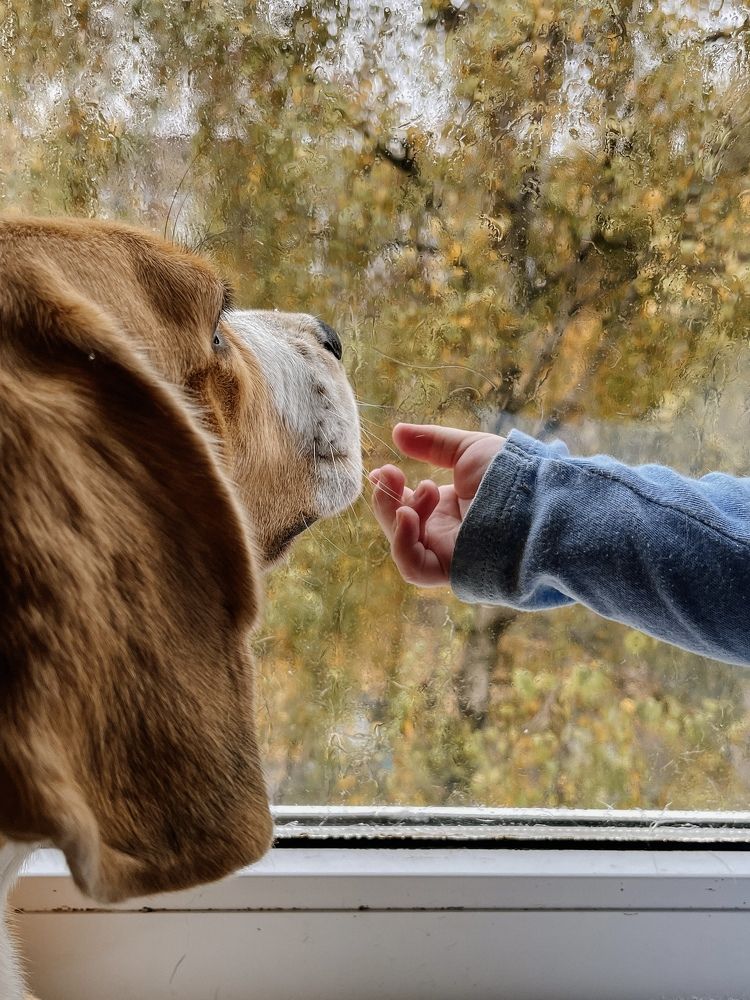 Photograph by Олена Уманцева