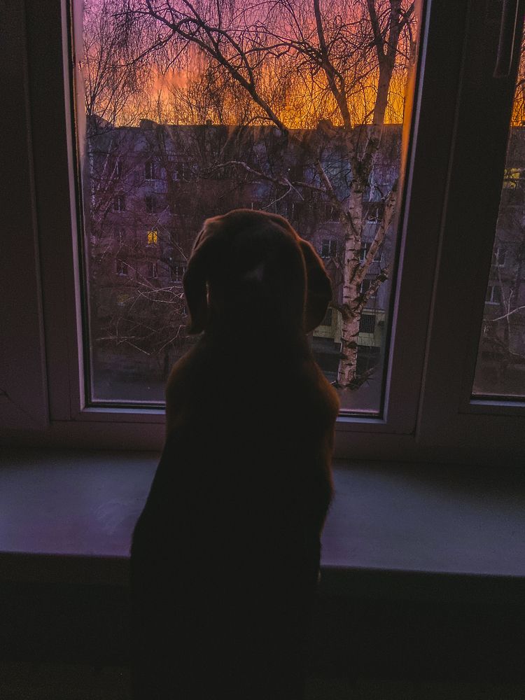 Photograph by Олена Уманцева