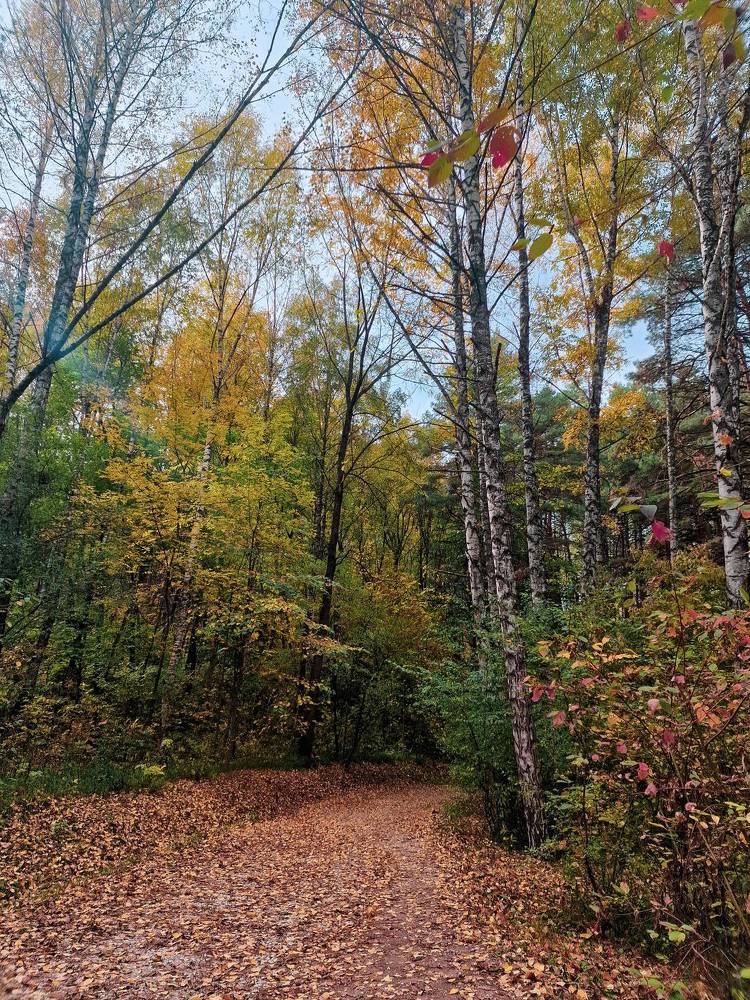 Photograph by Полина Галянина