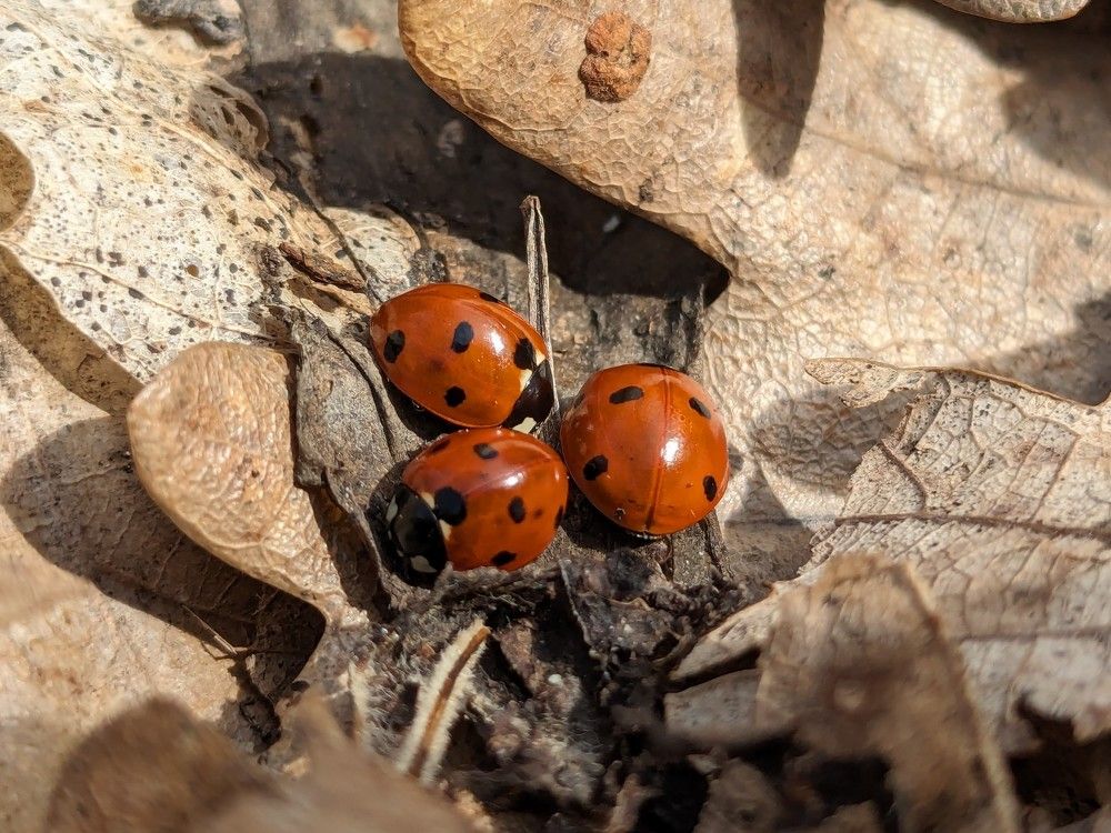 Photograph by Мария Гусакова