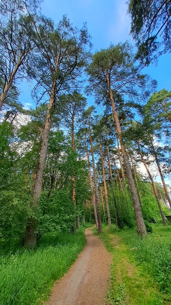 Photograph by Николай Худяков