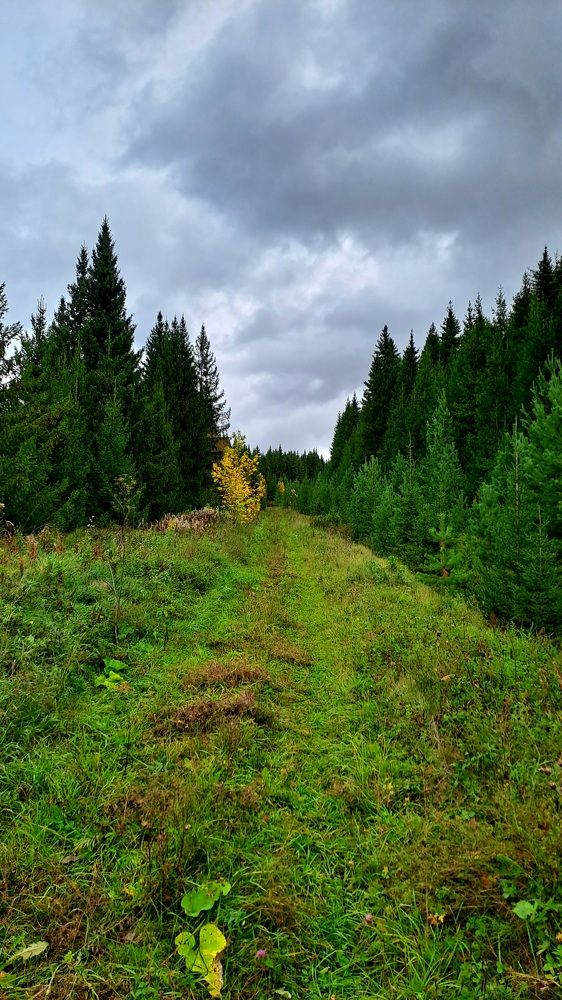 Photograph by Николай Худяков