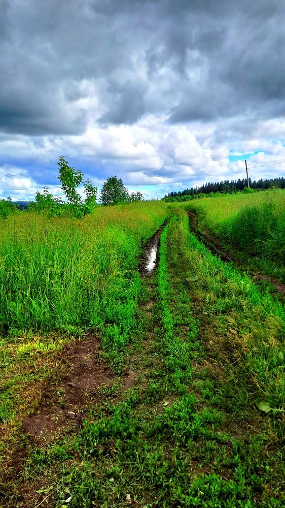 Photograph by Николай Худяков