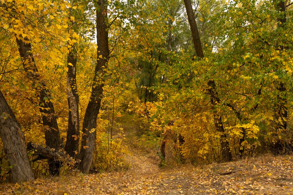 Photograph by Ольга Салтыкова