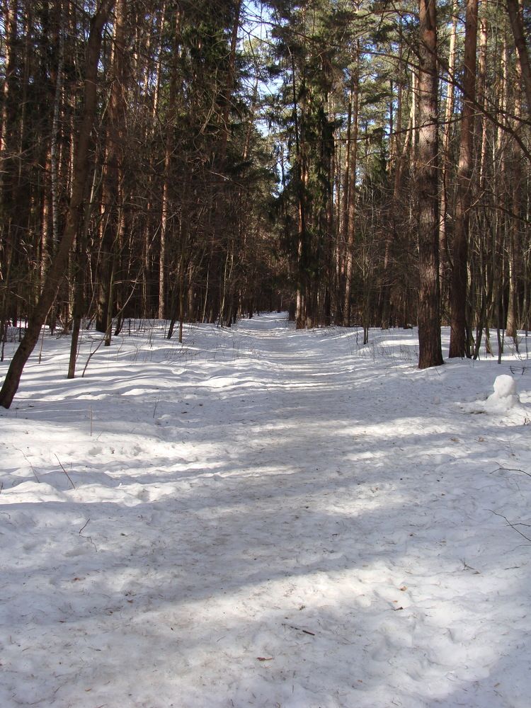 Photograph by Николай Худяков