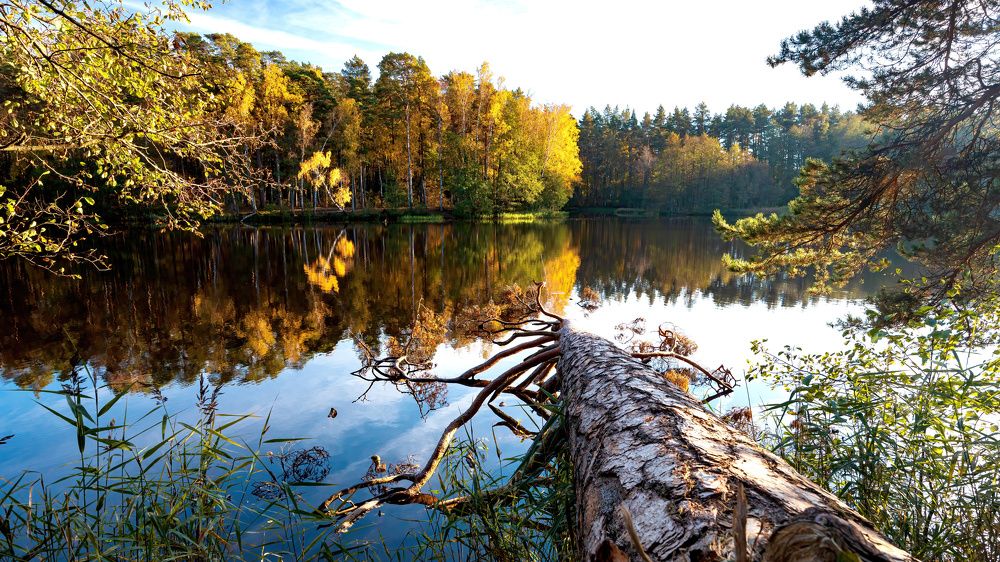 Фотография автора Godlevskis Ruslans