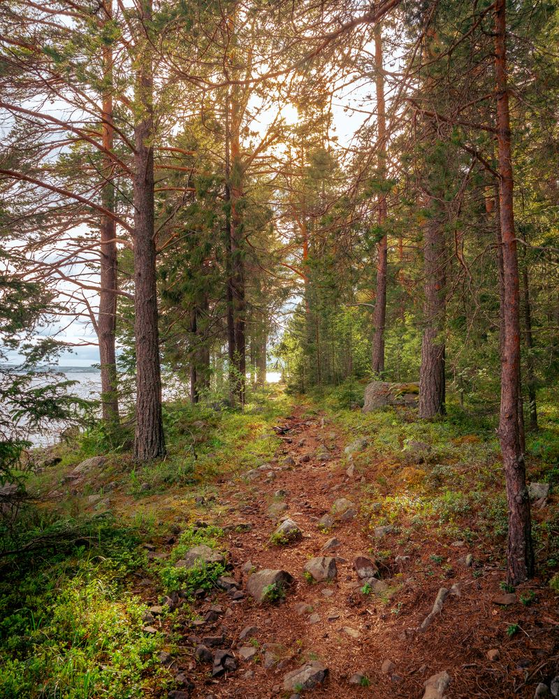 Photograph by Ярослав Изотов