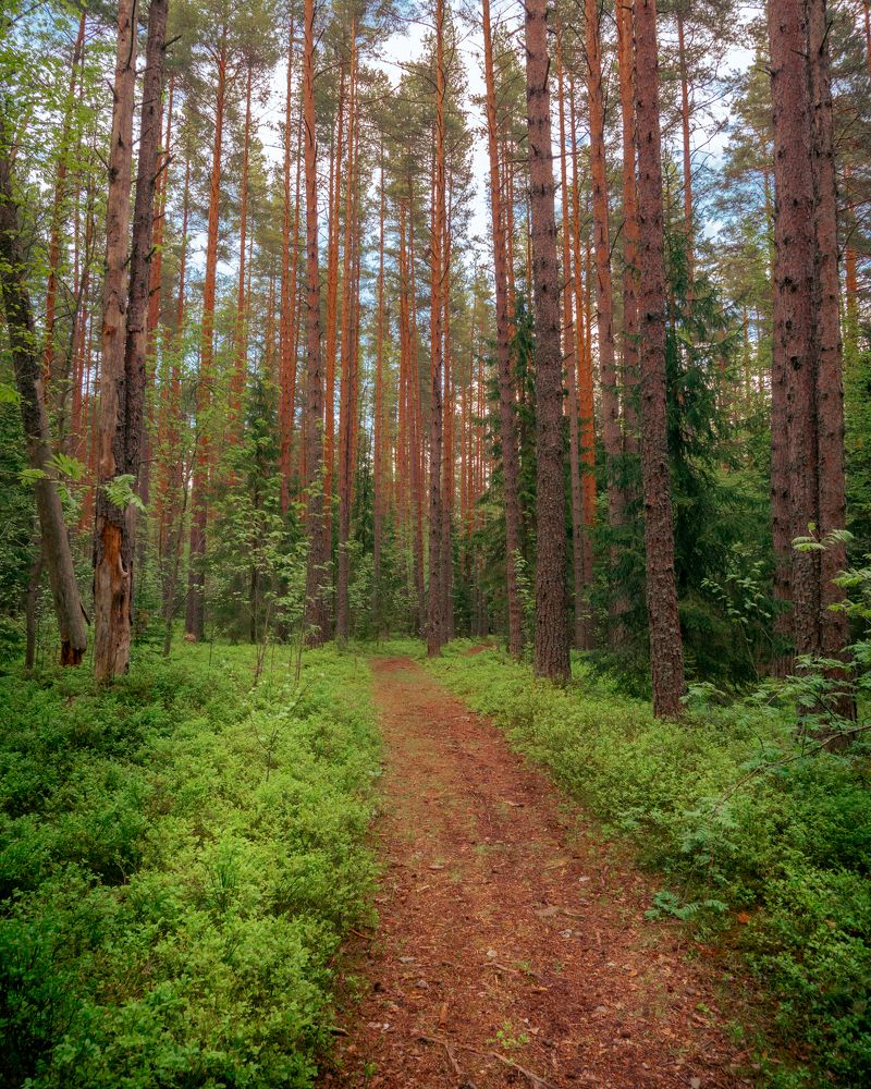 Photograph by Ярослав Изотов