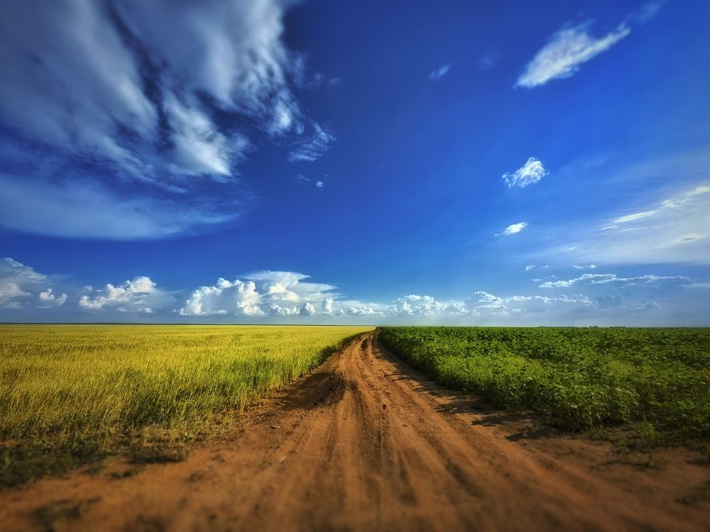 Photograph by Сергей Зайцев