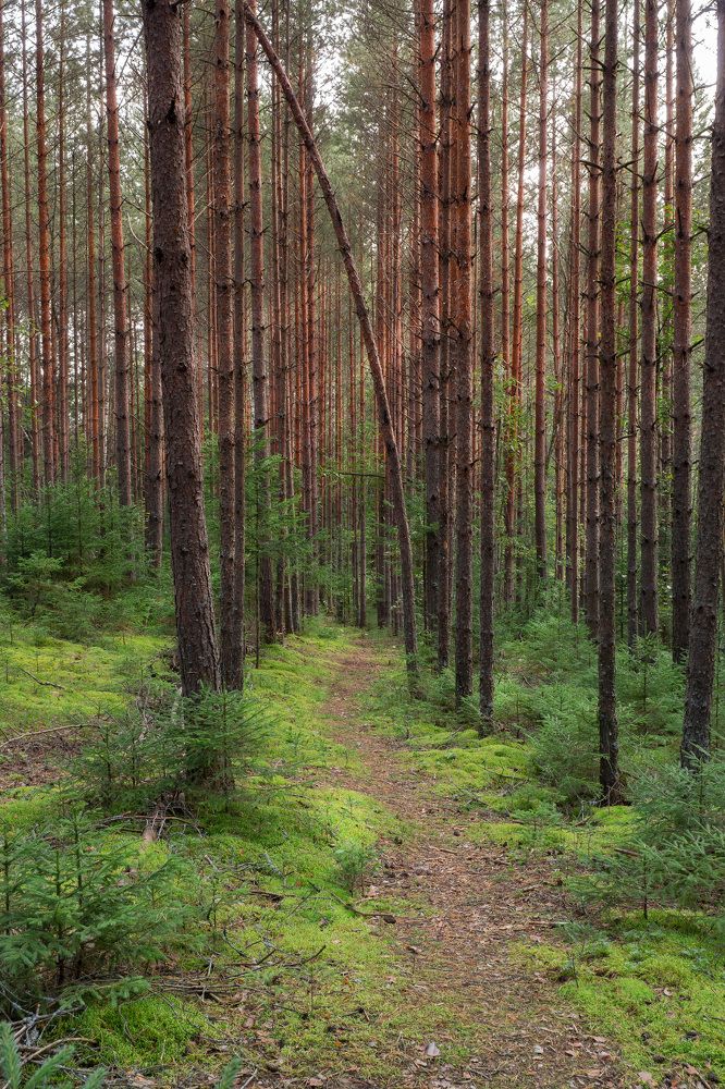 Photograph by Ярослав Изотов