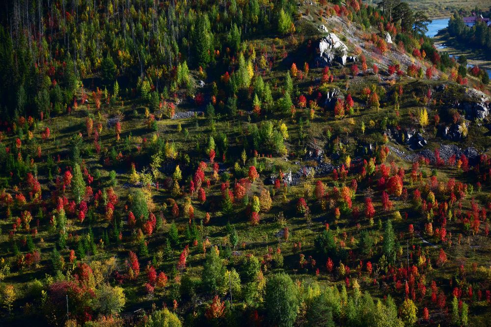 Фотография автора Злобин Сергей