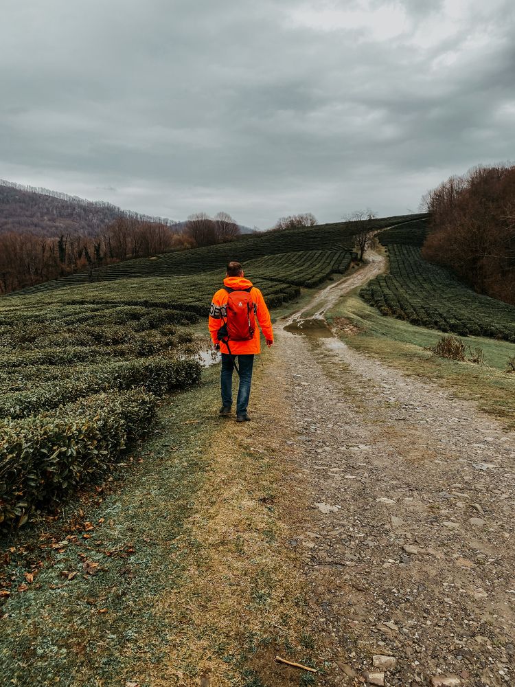 Photograph by Мария Петрова