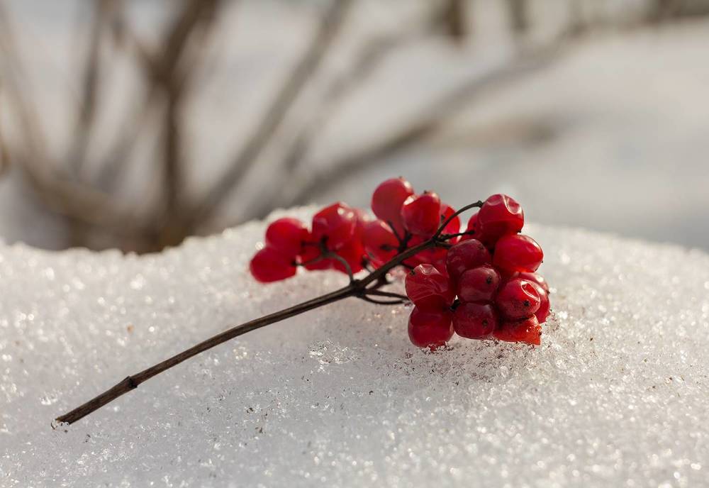 Фотография автора Борис Журавлёв