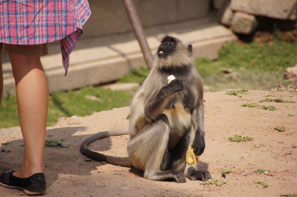 Photograph by Светлана Стрельцова