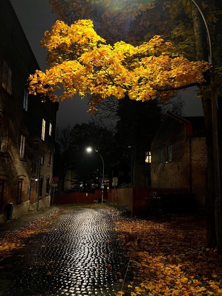 Photograph by Игорь Кутний