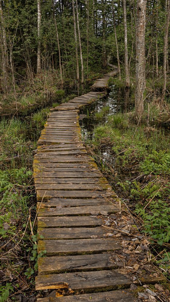 Photograph by Сергей Тельнюк