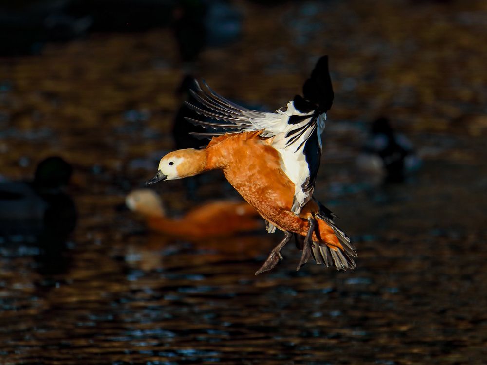 Photograph by Sergey Uskov