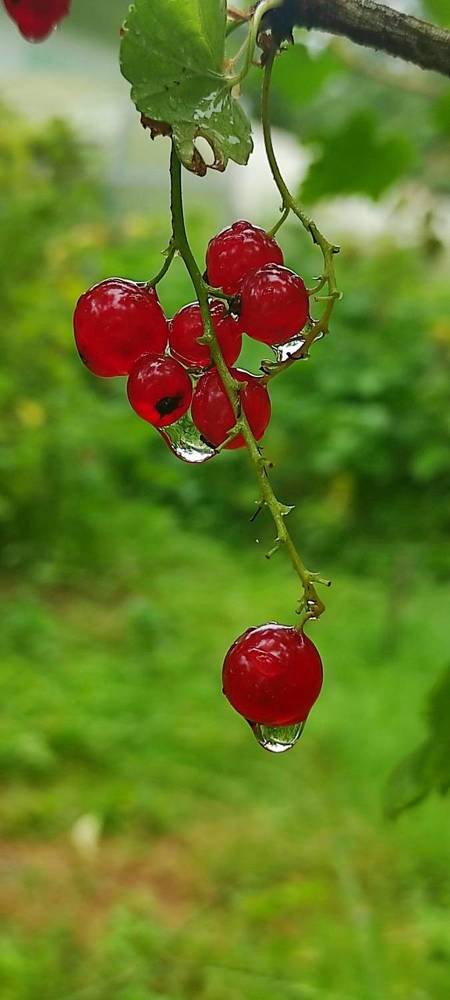 Photograph by Татьяна Солтан