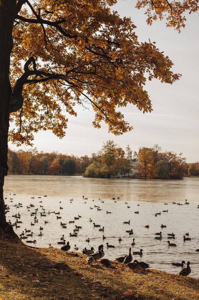 Photograph by Виктория Трач