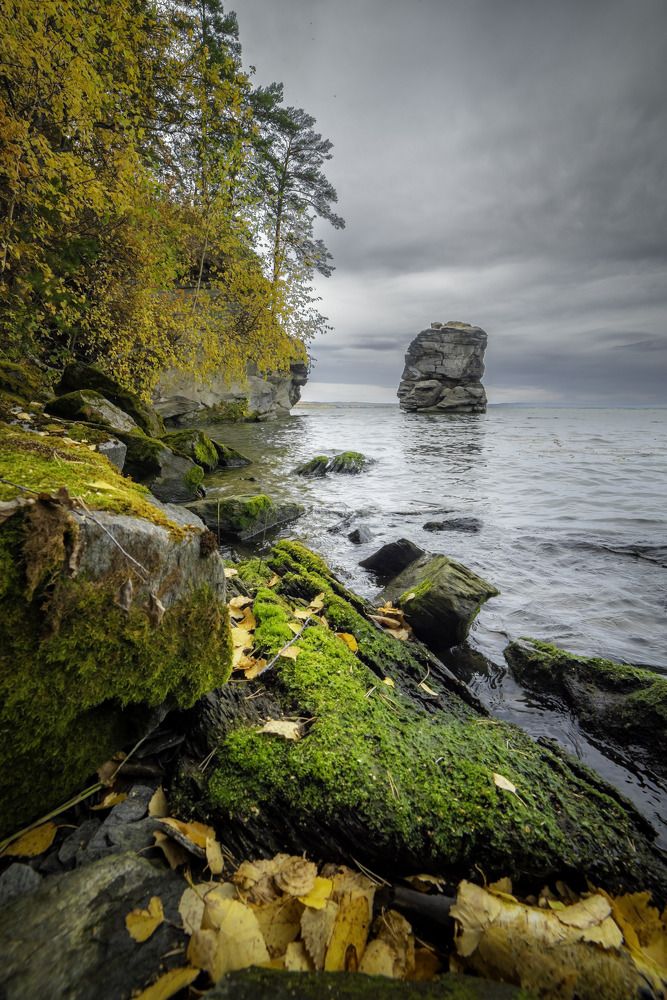 Photograph by Жданов Дмитрий