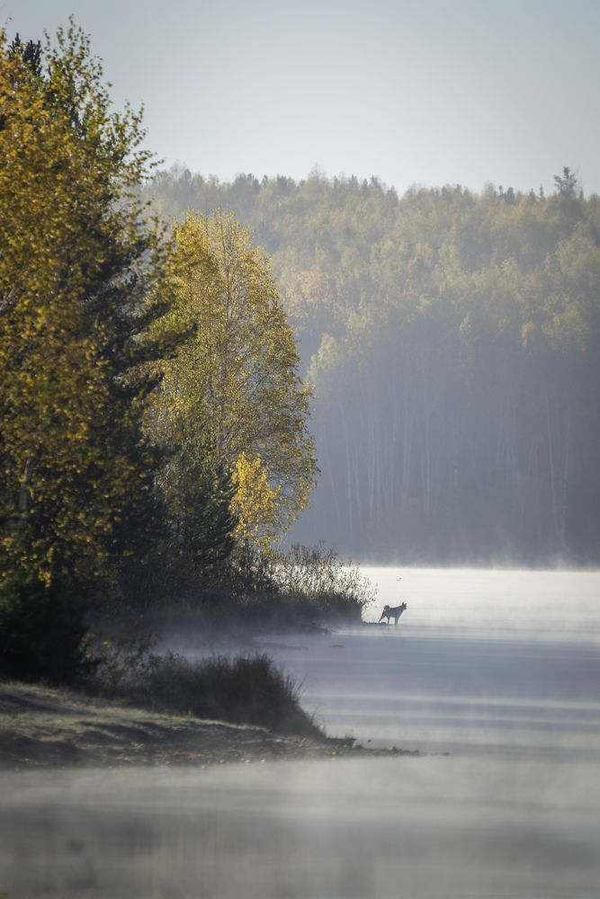 Photograph by Жданов Дмитрий
