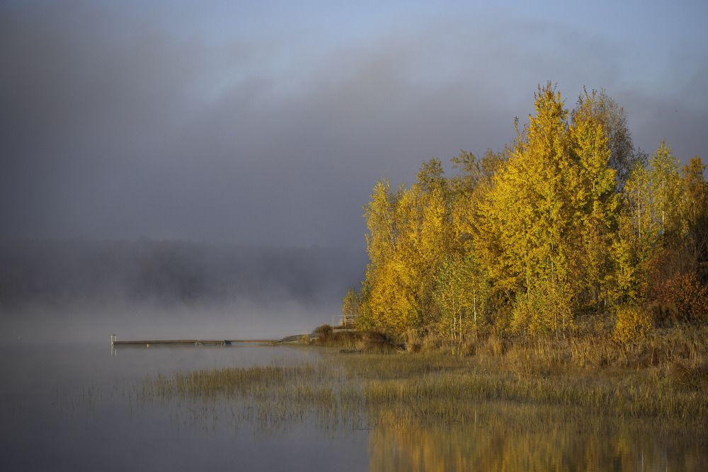 Photograph by Жданов Дмитрий
