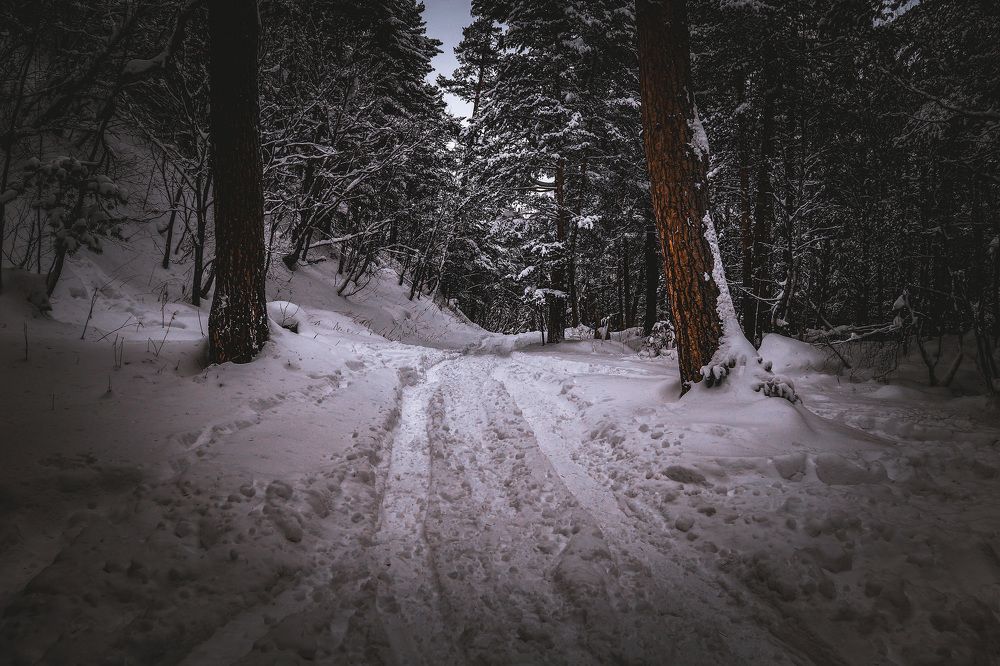 Photograph by Сергей Тельнюк