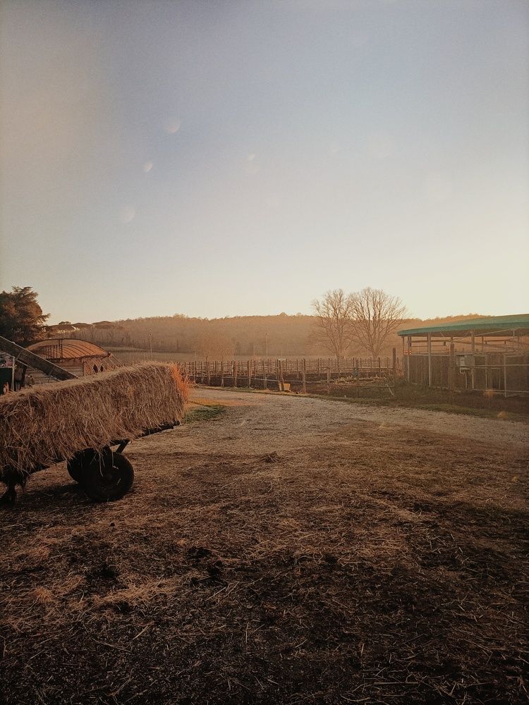 Photograph by Iryna Shyshkina