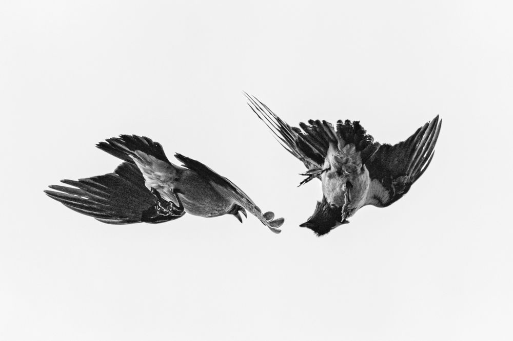 Photograph by Лактионов Анатолий