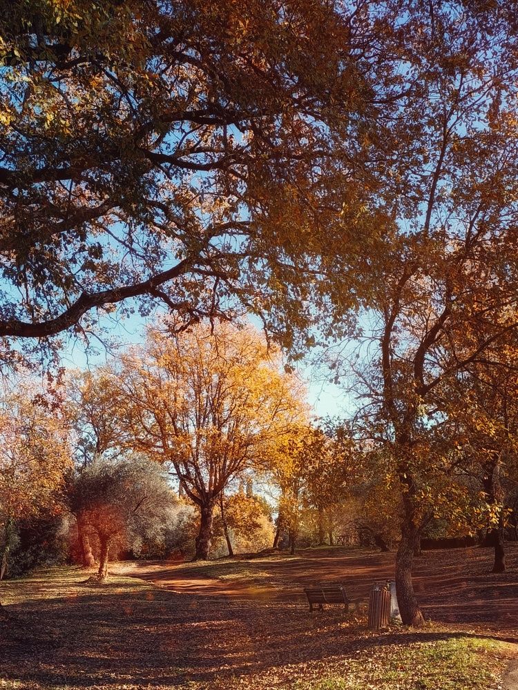 Photograph by Iryna Shyshkina