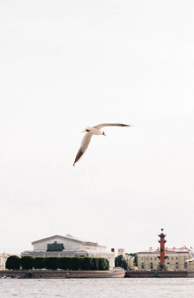 Photograph by Виктория Трач